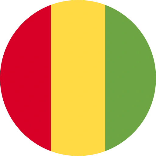 guinea flag